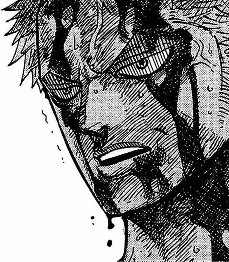 海贼王‖一些索隆黑白原漫 图片无水印版本可见微波calliopeluo 主页