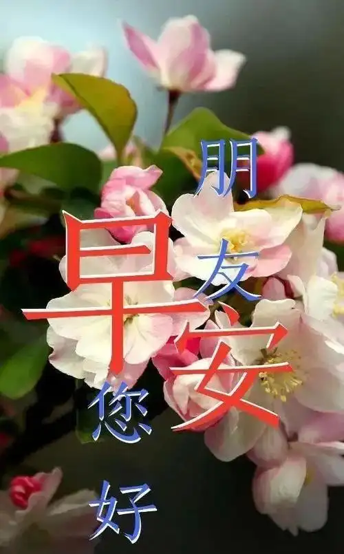 上午好祝福暖心语句问候文字表情图片