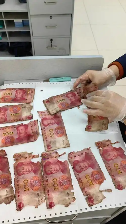 老人怕钱被偷将13万现金藏墓里,一年后发霉破损信用社帮挽回6万