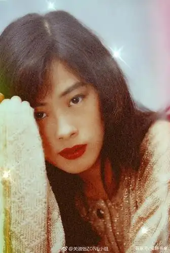 美人不迟暮!关淑怡 的图集