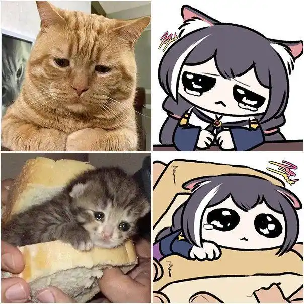 画师大佬把猫咪和公主连结做了结合,快给我变_猫娘