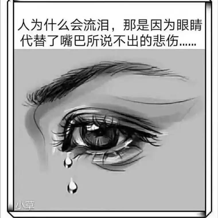 我以为…其实只是我以为.