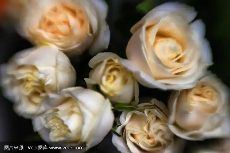 玫瑰花束复古风格