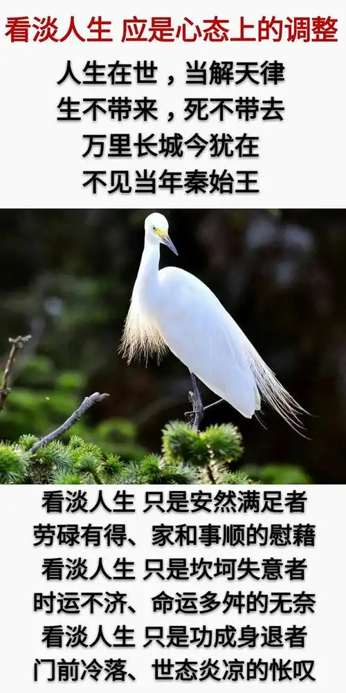 人生:50岁以后,一切看淡「句句精辟」