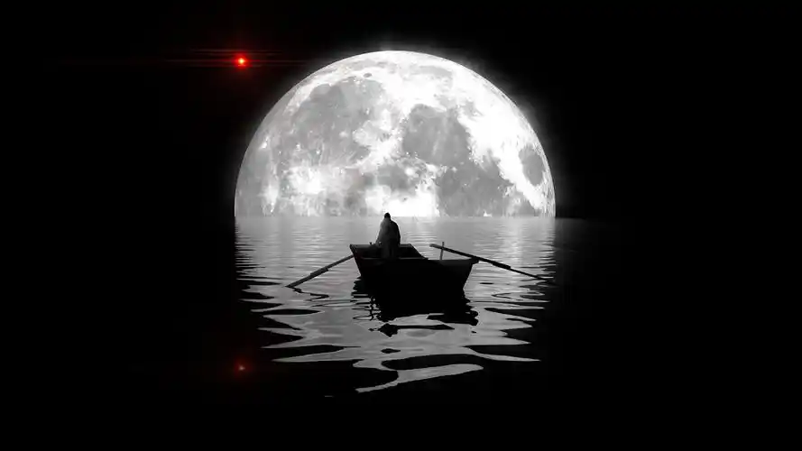 2020年11月合集,主题:绝望