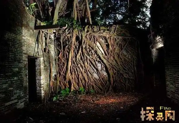 中国最恐怖的无人村开平无人村荒废20年不见天日邓边村