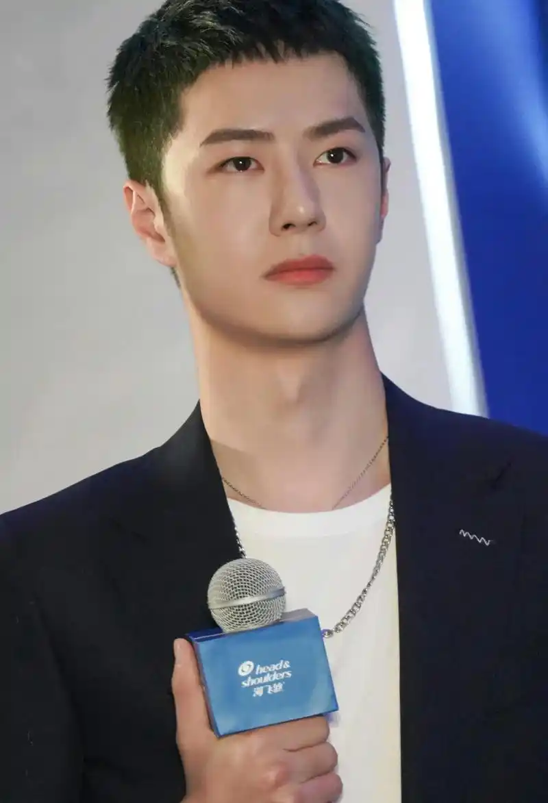 男星寸头造型比拼:颜值与个性的双重考验 近期,一系列男明星的寸头