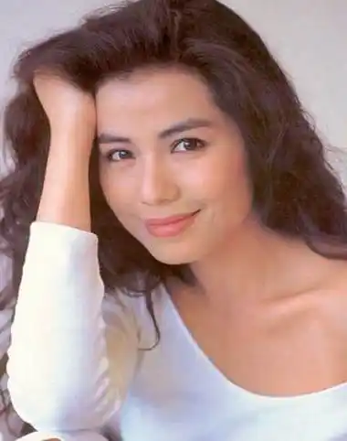 香港演员钟楚红简历(钟楚红的电影有哪些)-梅子号