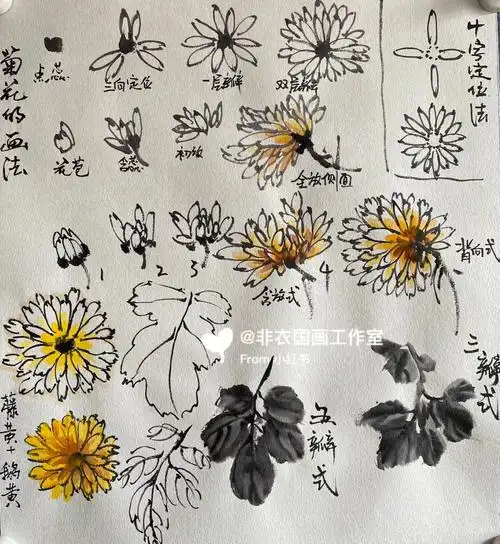 从零开始国画写意基础篇菊花