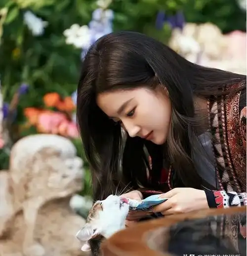 演员倪虹洁:被骗后含泪拍内衣广告,成名背后是心酸,如今怎么样