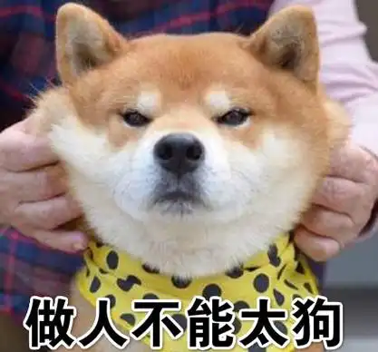 说人很狗是什么意思你这个人真狗梗方言出处