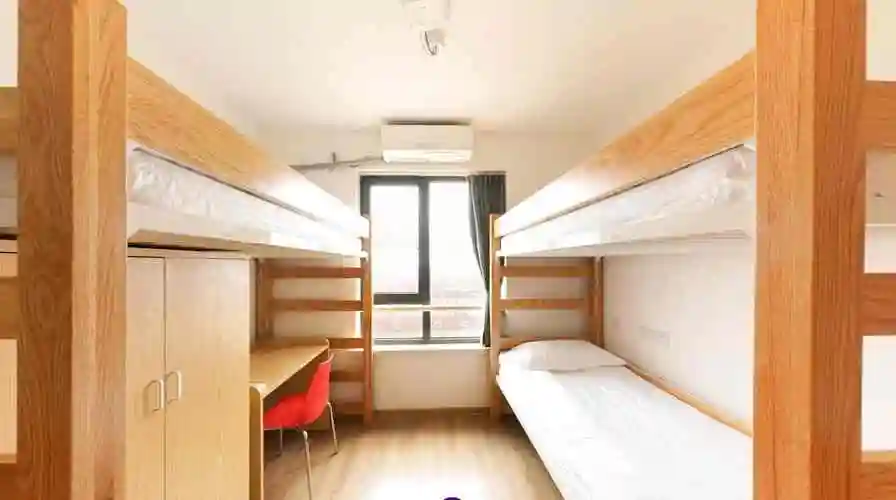 上海纽约大学宿舍条件怎么样宿舍图片内景