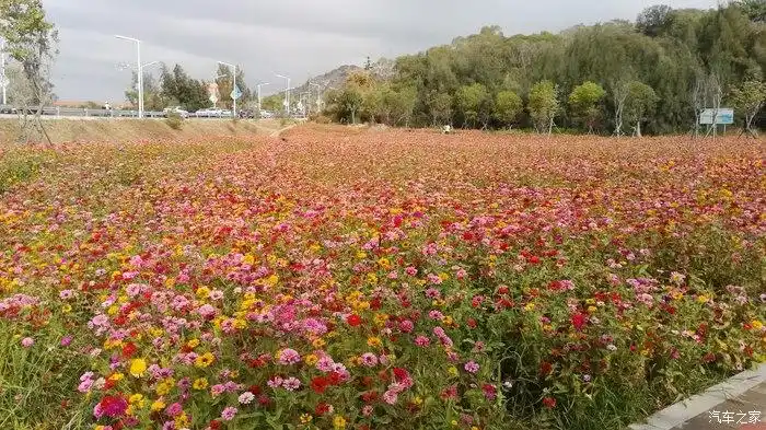 自由骑行;石狮花海谷公园游记