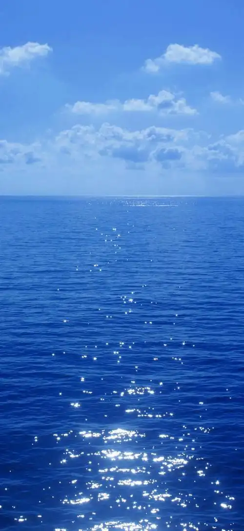 壁纸/因为冬天又冷又灰暗,所以你要又暖又明亮