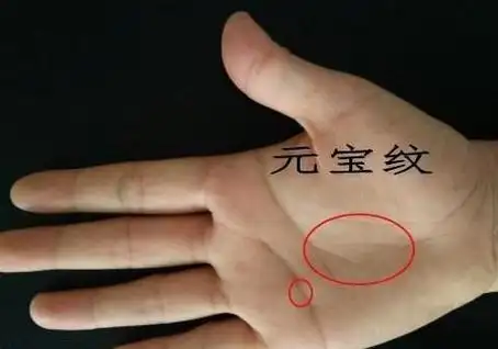 手掌有这3种纹路,必是富贵之命,一生钱财无忧,逢凶化吉!