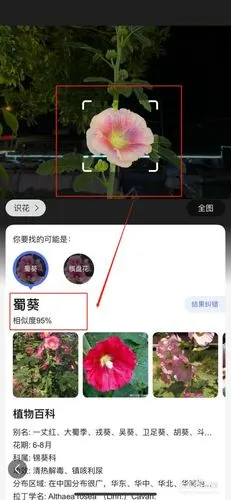 百度浏览器拍图识物怎么弄