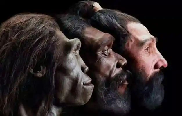 地球上第一个人类是怎么出现的