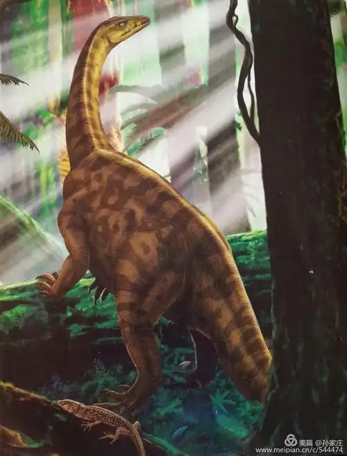 里奥哈龙(巨型龙)