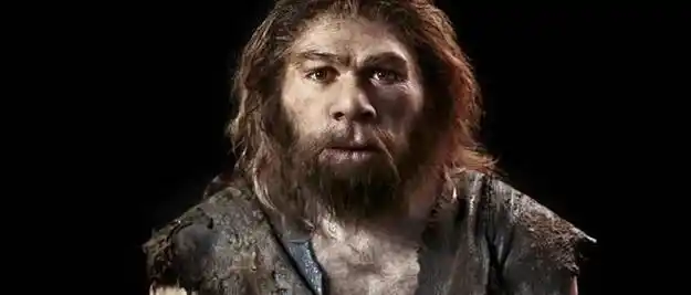 黑种|人种|智人|白种人_网易订阅