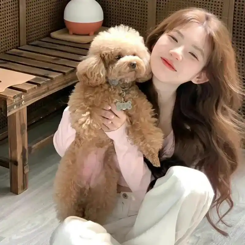 谁能拒绝怀里的小猫咪呢 #in - 抖音