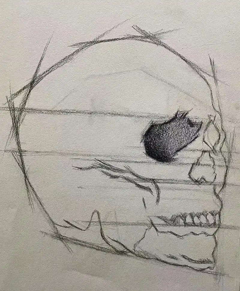 素描练习之骷髅头---正侧面