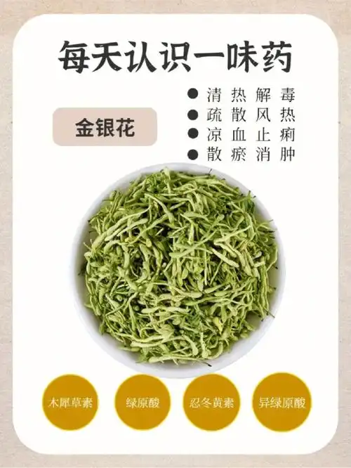 金银花具有疏散风热,清热解毒,解毒止痴等功效.