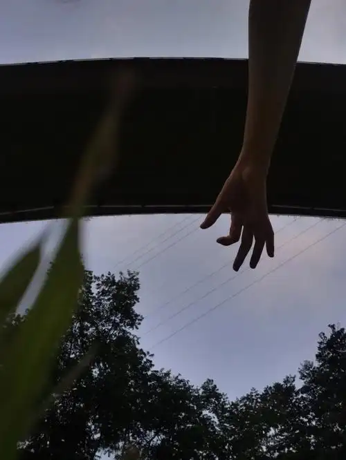 躺在草坪,手伸向天空,伴着秋风协奏一首「いつも何度でも/永远同在」