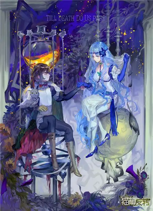 《猫箱反转》by dr.