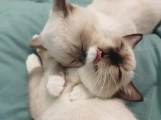 天冷了就要亲亲抱抱吖