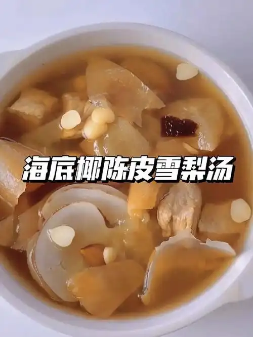 海底椰陈皮雪梨汤立冬养生滋阴润肺止咳