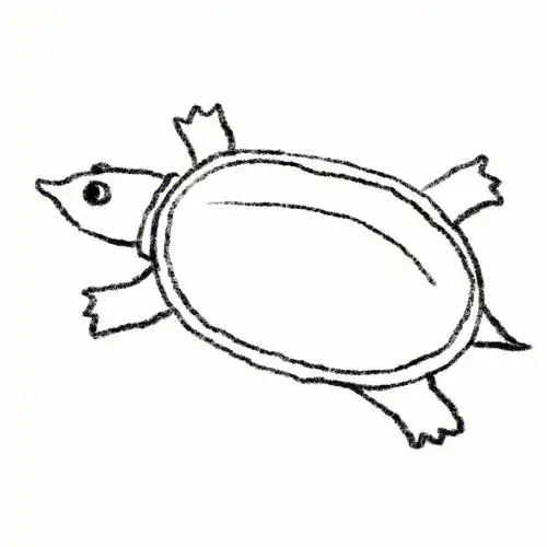 摸了一只甲鱼#上班摸鱼  #灵魂画手  #procreate  #简笔画  #插画