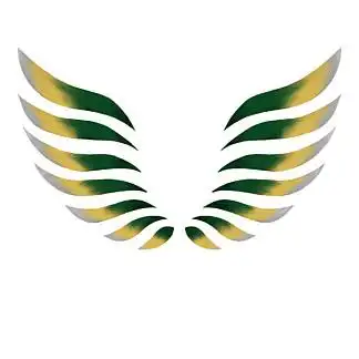 手绘图标元素彩色翅膀logo