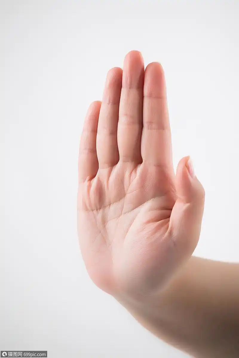 照片 商务办公 单手手势棚拍.jpg