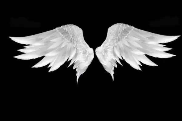 十二星座专属翅膀天秤座的翅膀最霸气双鱼座的最可爱