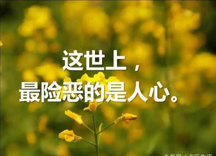 何处力堪殚,人心险万端. 虽近在咫尺,却看你不透!