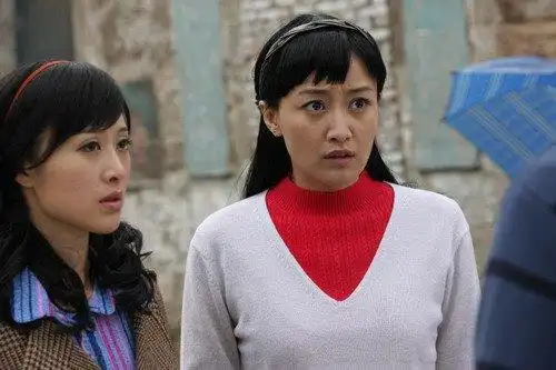 电视剧贤妻良母剧情介绍分集介绍32全集介绍