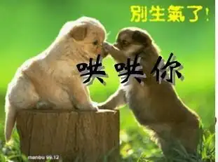 哄哄你,别生气了图片 - 酷图网