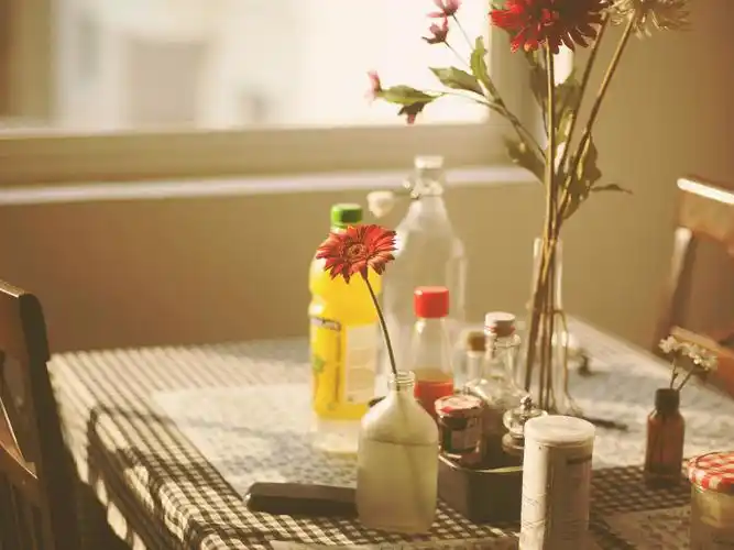 暖暖的,安静的小生活,安静,唯美,宁静,静好,桌子,花朵,盛开,窗外