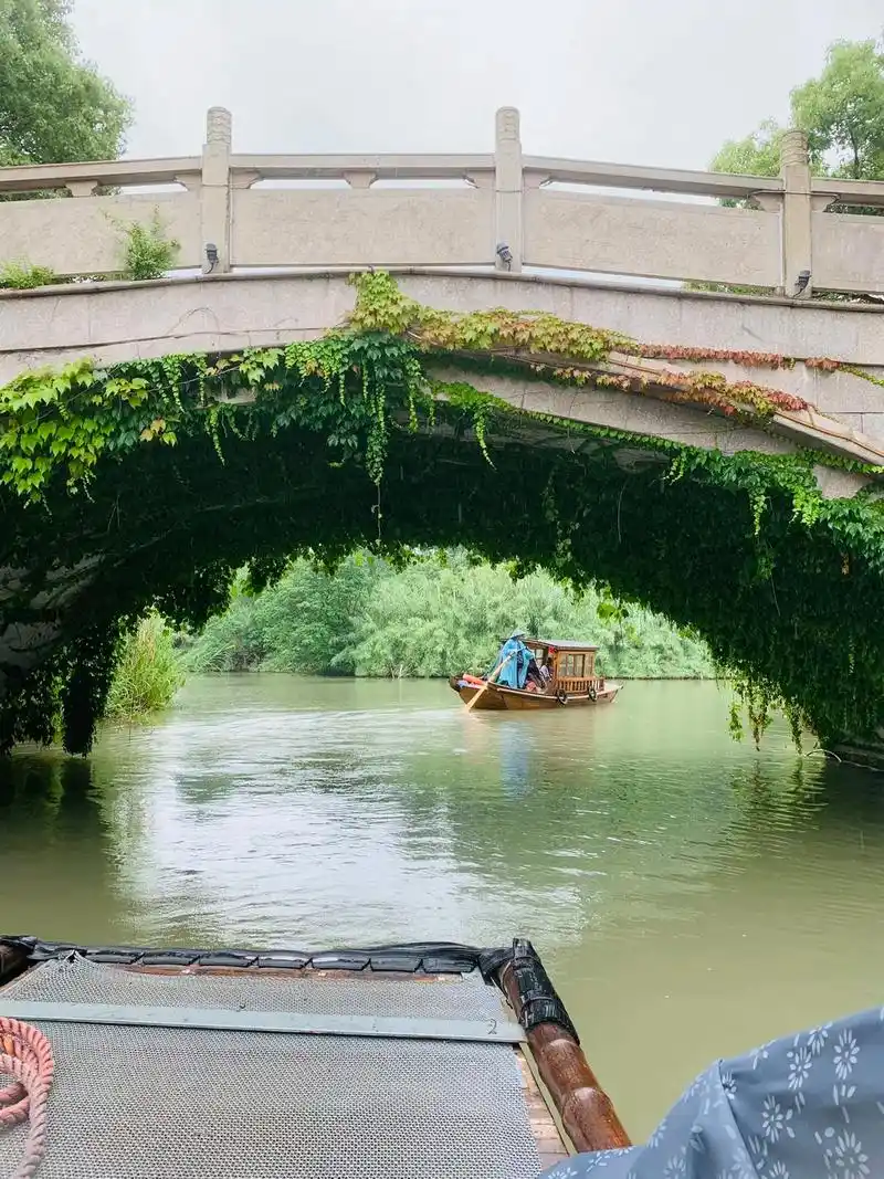 美丽的沙家浜风景区,荡漾在纵横交错的芦苇荡,感受江南水乡风情 - 抖
