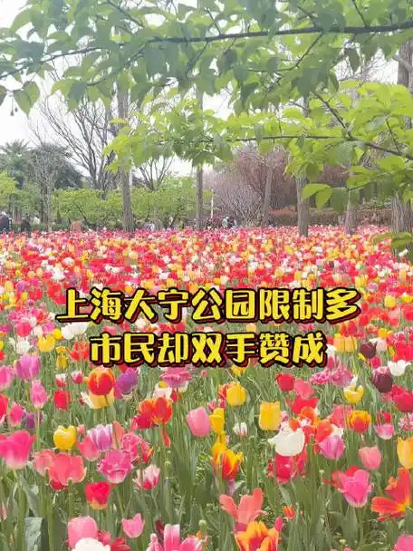 最近正值郁金香盛放季的大宁公园已经美成了next level,50万株的