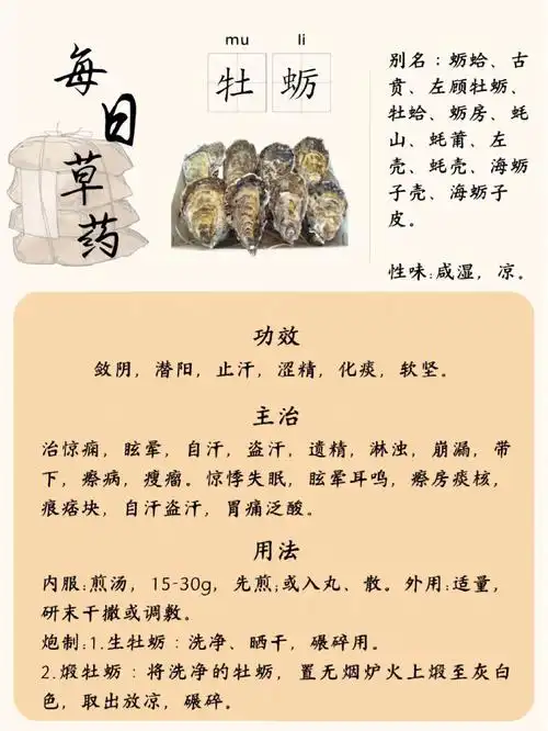 87每日中草药之牡蛎