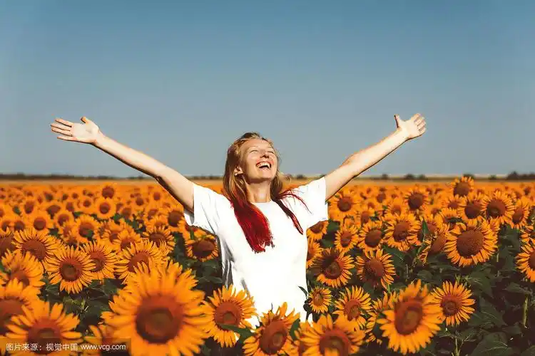 年轻女子站在向日葵中,举起双手.自由生活户外概念