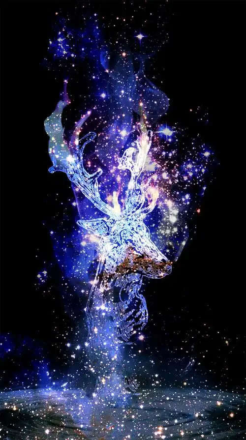 仙位鹿星光背景