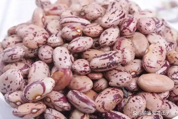 我国最好的芸豆产地在哪?中国十大著名芸豆产地盘点,哪的最有名