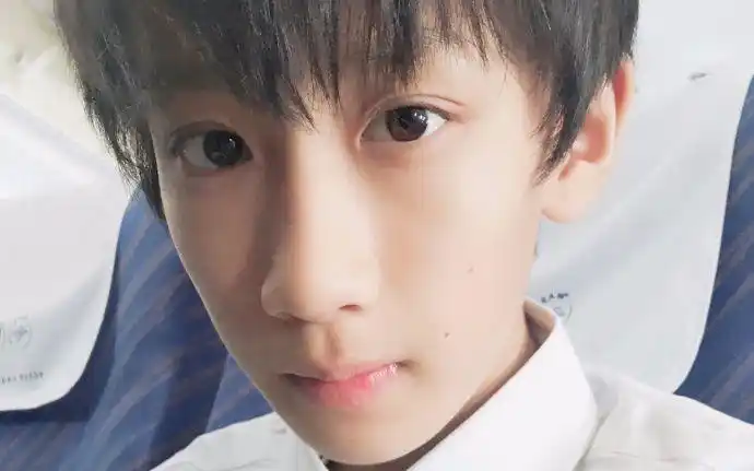 tf家族陈泗旭爱上陈泗旭