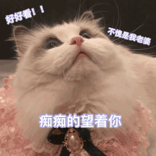 不愧是我看上的猪动态图_不愧是我看上的猪表情包gif动图下载_soogif