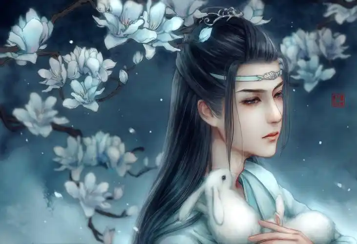 含光君 - 堆糖,美图壁纸兴趣社区