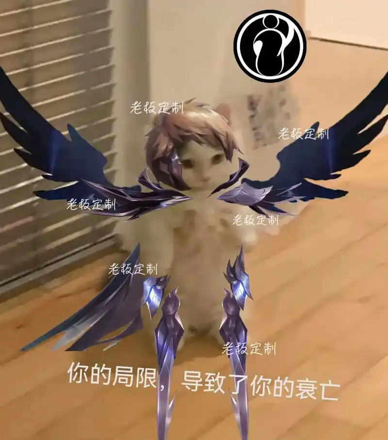 英雄联盟 #lol #英雄联盟表情图 #猫猫联盟 #英雄联 - 抖音