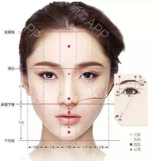 数字解析鼻部美学标准!