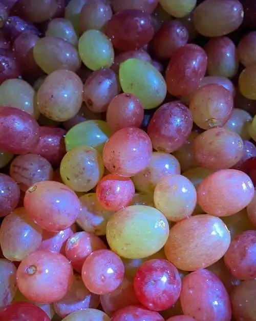 这种小葡萄真的好吃